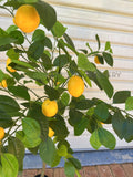 T0190 Artificial Fake Lemon Tree 105 / 120cm | ARTISTIC GREENERY Fake plastic fruits AUS