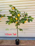 105cm - T0190 Artificial Fake Lemon Tree 105 / 120cm | ARTISTIC GREENERY Fake plastic fruits AUS