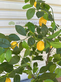 T0190 Artificial Fake Lemon Tree 105 / 120cm | ARTISTIC GREENERY Fake plastic fruits AUS