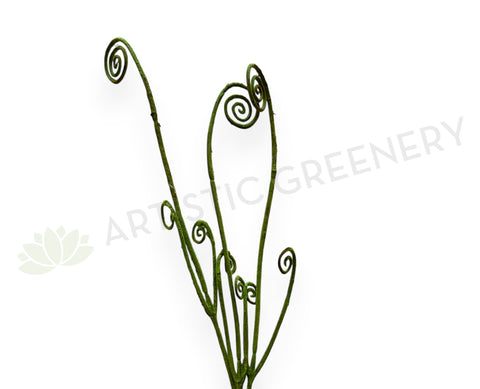TEMP0010 Fiddlehead Fern / Curly Fern Frond 44cm Green New Zealand native plants New Zealand Fern | ARTISTIC GREENERY