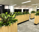 Vivid Property Perth (Applecross)  - Artificial Plants for Planters/ Cabinets | ARTISTIC GREENERY