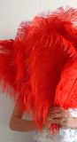 ACC0044L Ostrich Feather 45-55cm Red / Gold for craft Melbourne Cup fascinators | ARTISTIC GREENERY