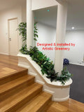 Home Interior Design and Installation (Stirling WA) - Planter nex to stairs | ARTISTIC GREENERY