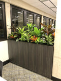 Murdoch University Library - Artificial Plants for Built-in Cabinets