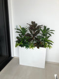 Home Interior Design and Installation - Pool Area & Built-in Planters - North Beach