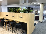 Murdoch University Library - Artificial Plants for Built-in Cabinets