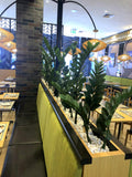 Tim Ho Wan Chinese Restaurant (Perth) - Artificial Greenery for Built-in Planters and Entrance