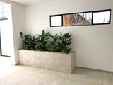 Home Interior Design and Installation - Pool Area & Built-in Planters - North Beach