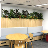 Murdoch University Library - Artificial Plants for Built-in Cabinets