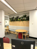 Murdoch University Library - Artificial Plants for Built-in Cabinets