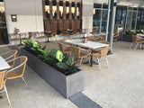 Banksia Grove Village Shopping Centre - Greenery Wall & Artificial Plants in Planters