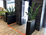 Tim Ho Wan Chinese Restaurant (Perth) - Artificial Greenery for Built-in Planters and Entrance