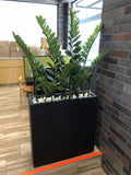 Tim Ho Wan Chinese Restaurant (Perth) - Artificial Greenery for Built-in Planters and Entrance