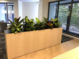 Valmont - Artificial Plants (mixed styles) for Filing Cabinets