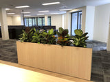 Valmont - Artificial Plants (mixed styles) for Filing Cabinets