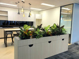 Valmont - Artificial Plants (mixed styles) for Filing Cabinets