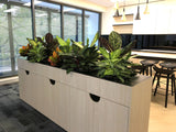 Valmont - Artificial Plants (mixed styles) for Filing Cabinets