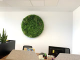 Circular Greenery Feature Wall / Vertical Garden