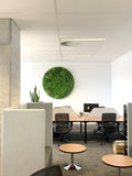 Circle Greenery Feature Wall / Vertical Garden  | ARTISTIC GREENERY