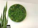 Circle Greenery Feature Wall / Vertical Garden  | ARTISTIC GREENERY