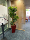 SKG Radiology Subiaco - Flower Arrangement & Artificial Plants in Pots | ARTISTIC GREENERY