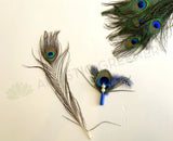 ACC0044P Peacock Feather 20-30cm