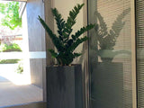 Acacia Living - Menora Gardens Aged Care Village  - Plants & Flower Arrangemenets | ARTISTIC GREENERY