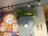 Burger 101 Rockingham - Artificial Plants for Display / Shelves | ARTISTIC GREENERY