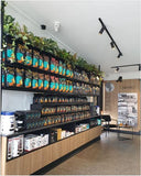 Port City Roasters (South Fremantle) - Artificial Plants for Display Shelves & Hanging Baskets with Plants