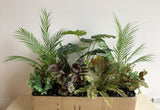 Broome Boulevard Shopping Centre - Pre-installed Artificial Plants for Planter Boxes