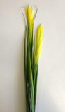 DS0018 Prairie Foxtail / Pampas Grass 124cm Artistic Greenery