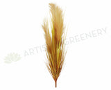 DS0026 Wild Grass Bunch / Wheat Bunch 61-93cm 4 Styles Orange Artistic Greenery