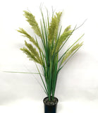 DS0037 Toetoe Grass Bunch 140cm