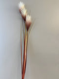 DS0051 & DS0052 Wild Grass Bunch 130-163cm 2 Styles Orange