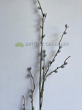 DS0057 Imitation Pussy Willow Stem 102cm | ARTISTIC GREENERY