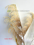 DS0059 Artificial Common Reed 132cm Brown / White | ARTISTIC GREENERY