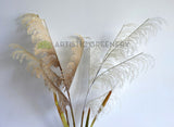 DS0059 Artificial Common Reed 132cm Brown / White | ARTISTIC GREENERY