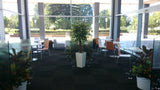 Cafe Dumas (Perth Parliament House) - Artificial Plants in Pots & Planter Boxes