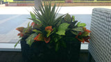 Cafe Dumas (Perth Parliament House) - Artificial Plants in Pots & Planter Boxes