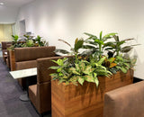 Edith Cowan University (ECU) Joondalup - Building 19 Lobby area- Artificial Plants for Built-in Cabinets / Planters | ARTISTIC GREENERY