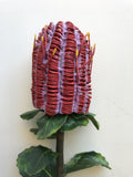 F-ASB-CB01 Coccinea Banksia 64cm Red