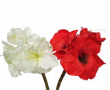 F0001SML Amaryllis Stem 90cm