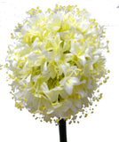F0031 Allium Single Stem 80cm zoom