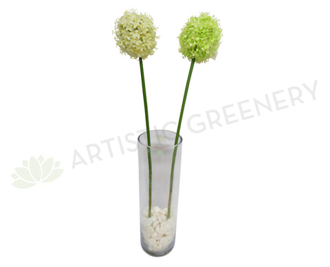 F0031 Allium Single Stem 80cm