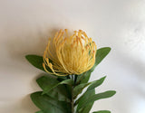 Light Orange - F0067 Protea Pincushion Single Stem 80cm 
