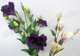 F0087 Lisianthus Spray 80cm 5 Colours Artistic Greenery