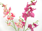 F0089NEW Small Phalaenopsis Orchid Spray Real Touch 70cm Dark Pink / Light Pink
