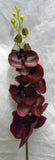 FA1028 - White Orchid Floral Arrangement