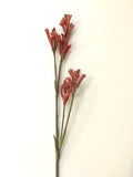 F0104 Kangaroo Paw Spray 75cm - 4 Styles