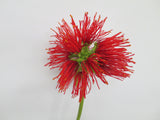 F0156 Pohutukawa 74cm Red